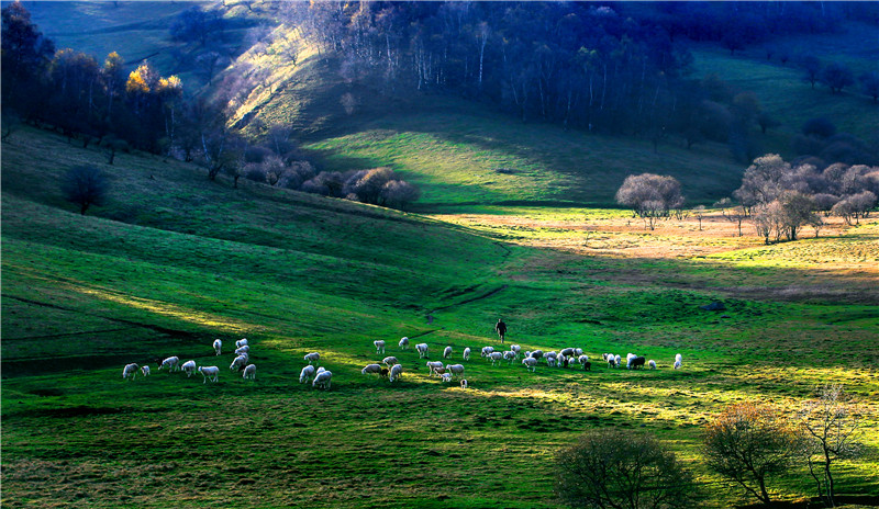 门票免费、半价！宝鸡2023年暑期旅游优惠政策及线路发布