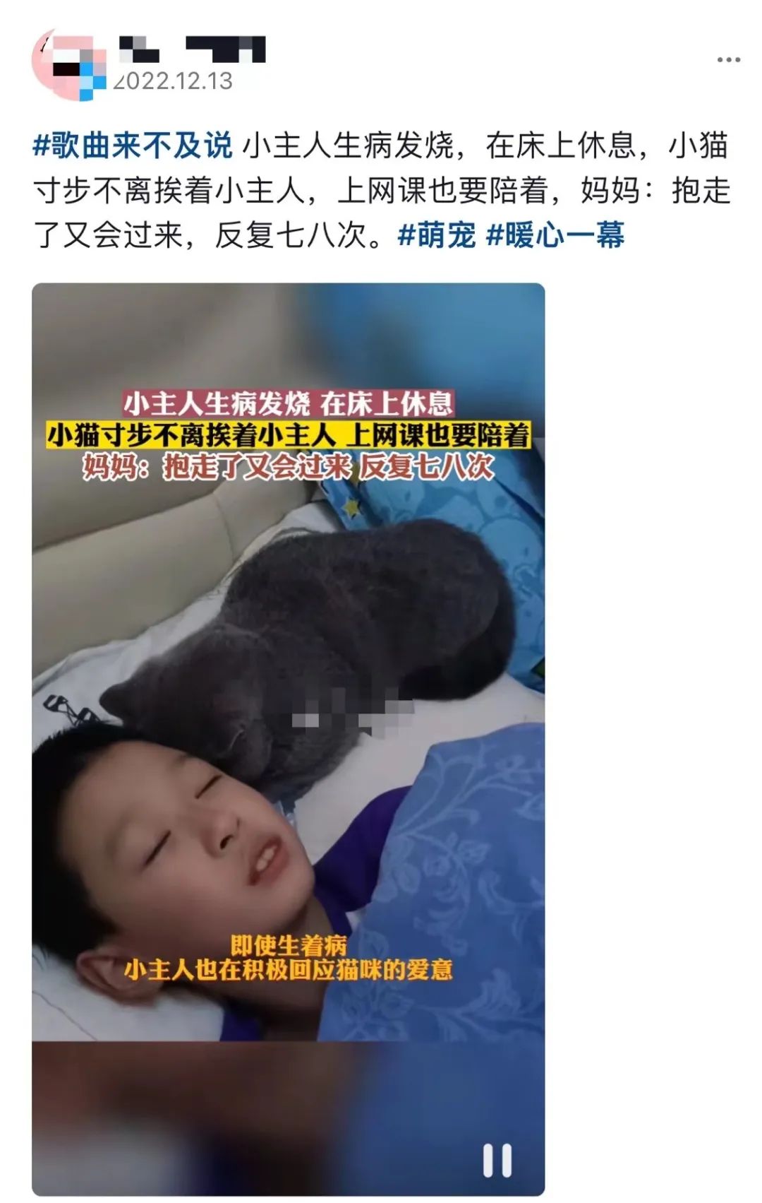 主人阳了，猫咪叼了包华子给他治嗓子，网友：真上道！