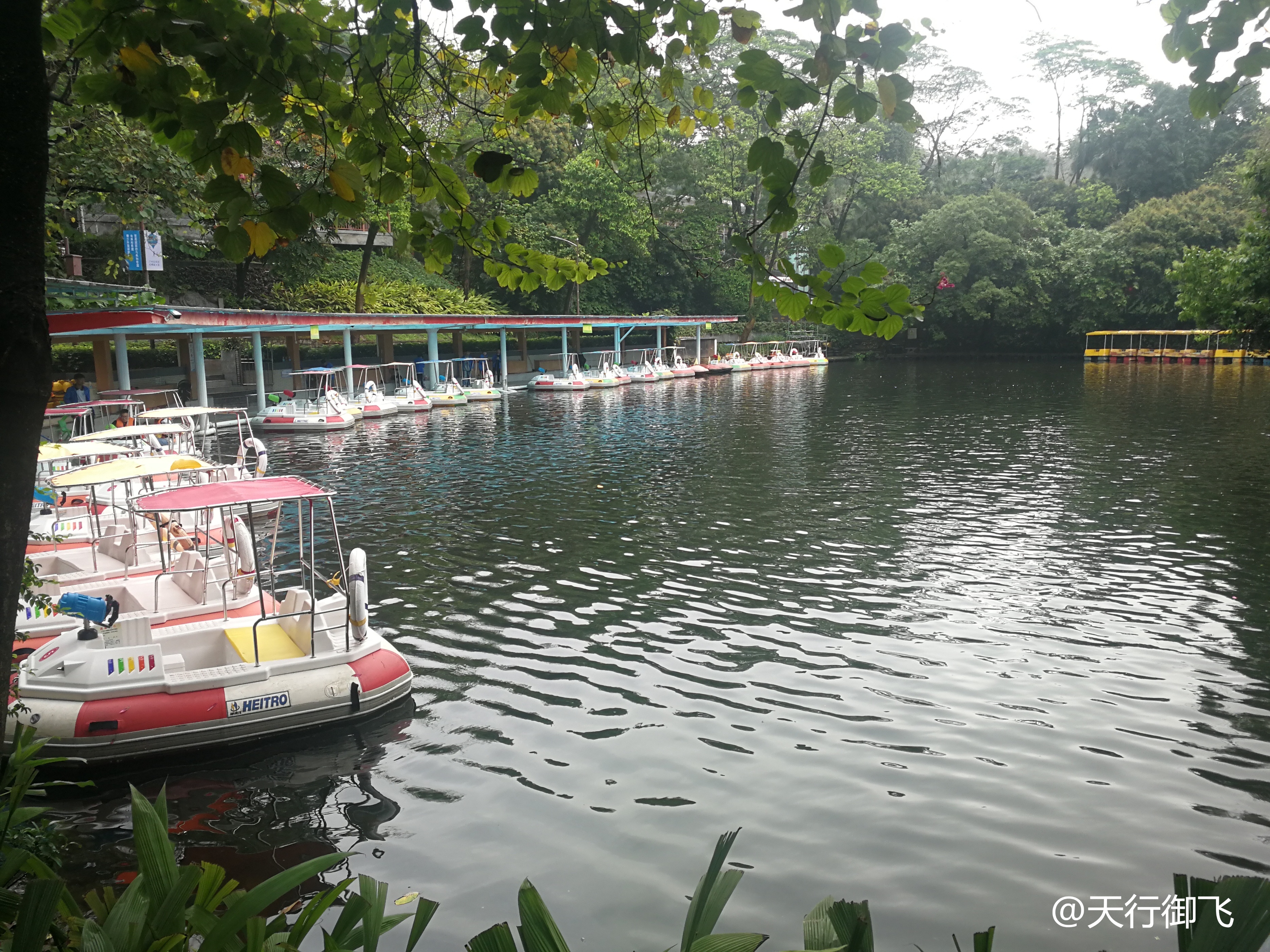 越秀公园游览最佳顺序,广州越秀公园旅游线路图