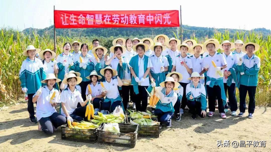 深入开展作风建设年重点任务图解,持之以恒推进作风建设走深走实