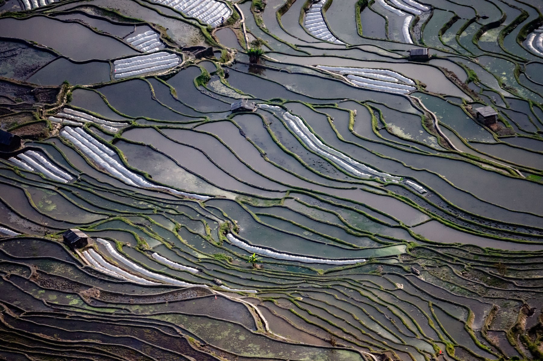 什么是raw格式和jpg格式,什么是raw格式拍摄