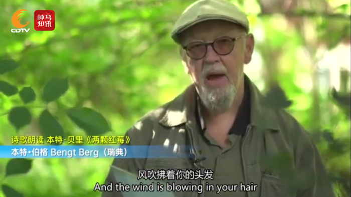 第十届杜甫国际诗歌周,第十届杜甫国际诗歌周盛大启幕