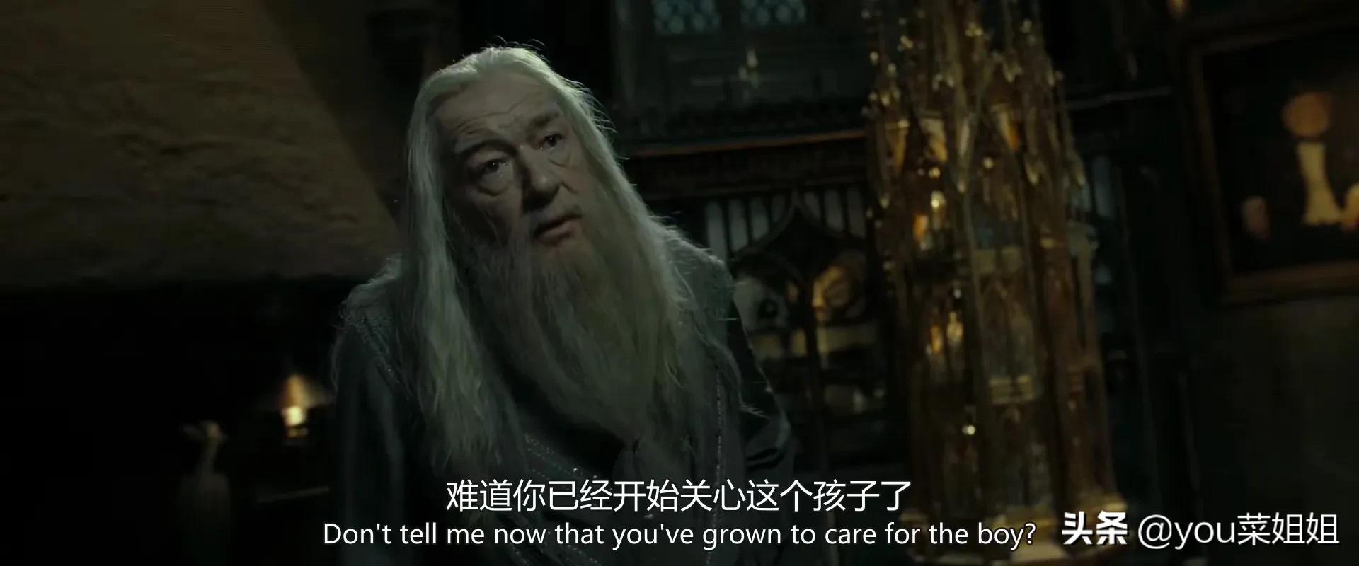 哈利波特为什么不治疗斯内普,哈利波特为什么不救斯内普