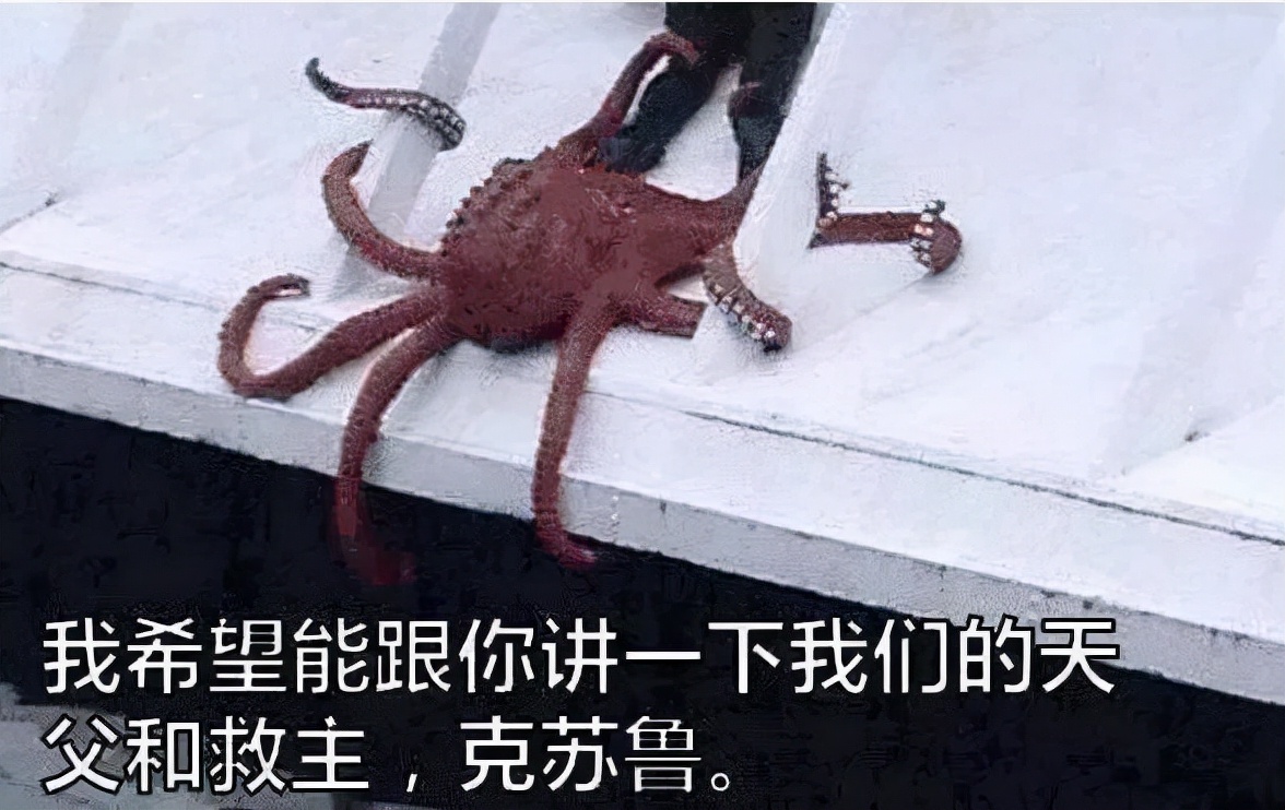 书君第69期：「模拟器·克苏鲁」新书·幼苗推荐