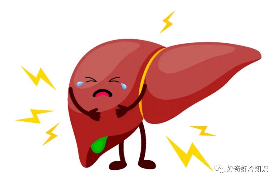 打包的剩菜怎么储存最好,打包剩菜最好的方法