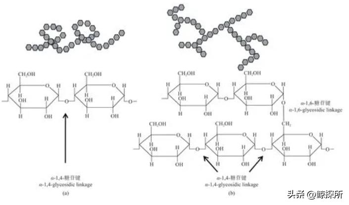 蜡在固液相界面上长时间结晶,降低了管道的通畅性,该如何应对