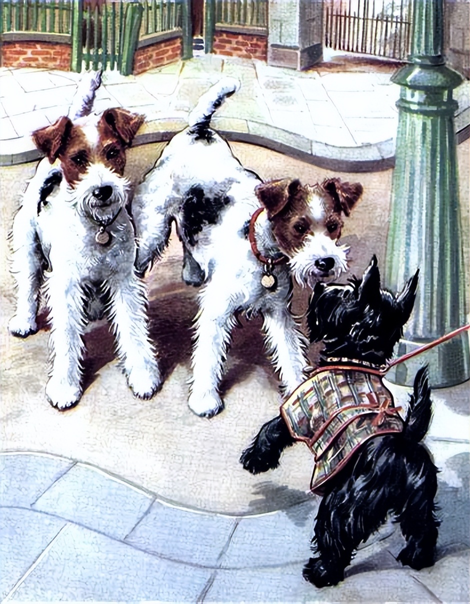 泰迪挑衅大型犬漫画,关于泰迪犬的一个梗