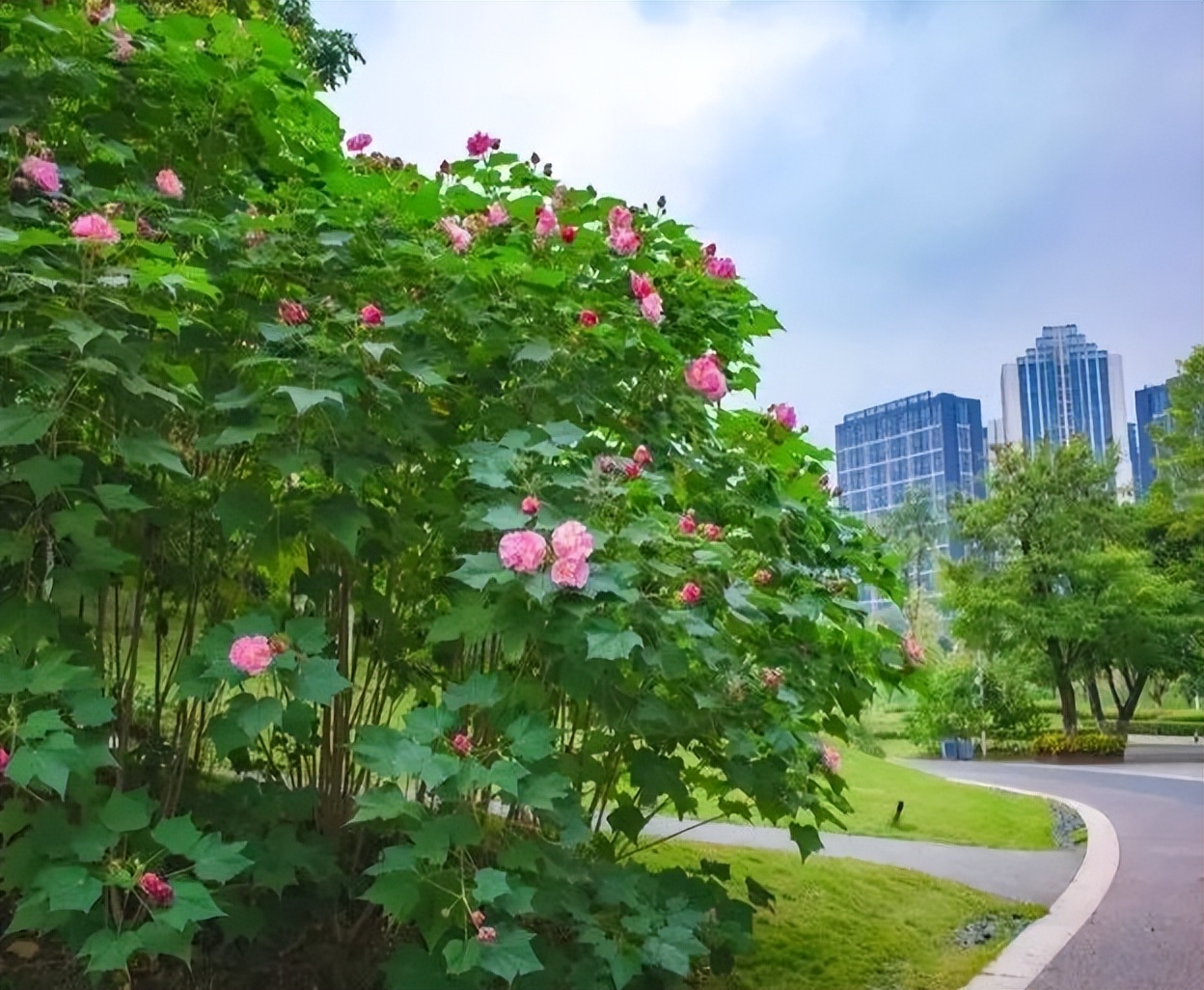 地铁8号线二期线路图高清版,轨道交通22号线最新消息