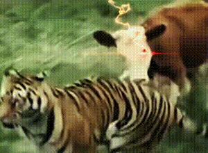 神回复：把大众车标扣下来清灰，里面藏了一个圆球，这是个啥？