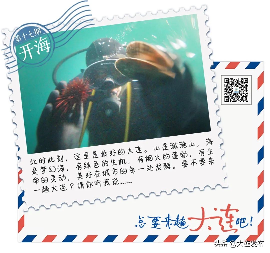 实现海鲜自由的秘诀,实现海鲜自由另一种说法