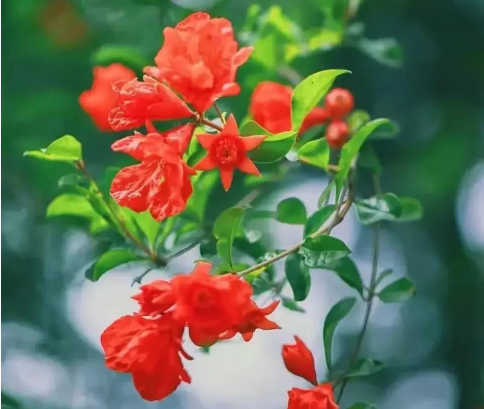 看了2022年平均工资，才知道最吃香的就业专业是哪些