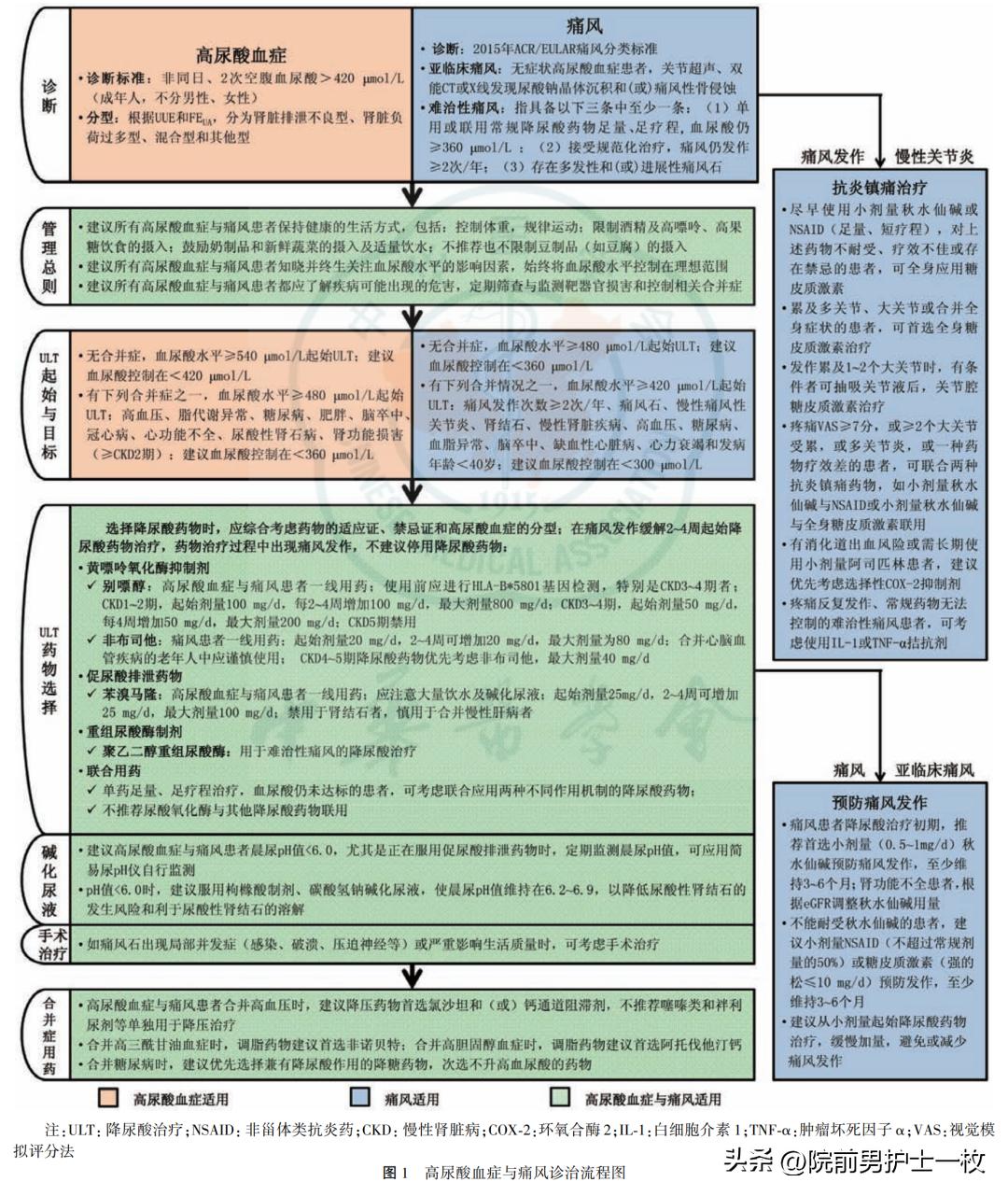 痛风诊治中需要注意哪些问题,痛风的治疗与饮食