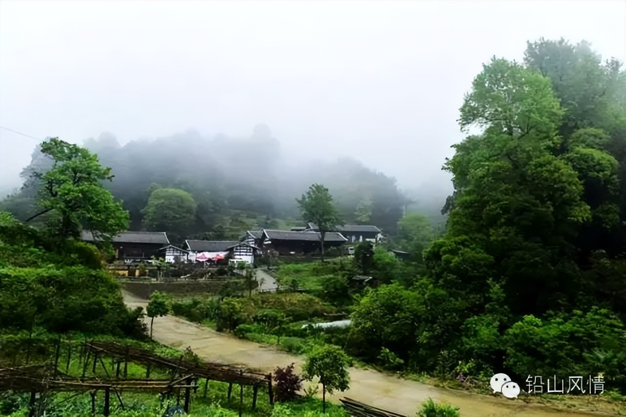 涓婇ザ閾呭北鐣叉棌椋庢儏,澶╀笅show