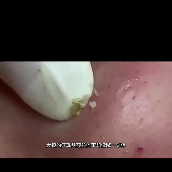 日常系美剧小说,免费看小说的日常