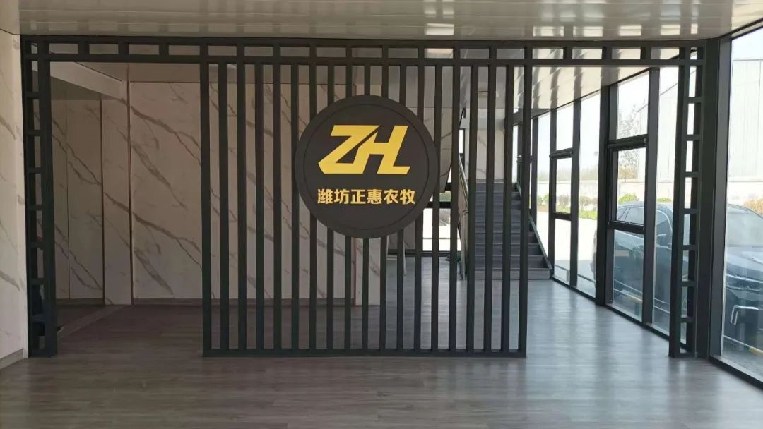 肉鸭养殖乡村振兴,肉鸭养殖与乡村振兴