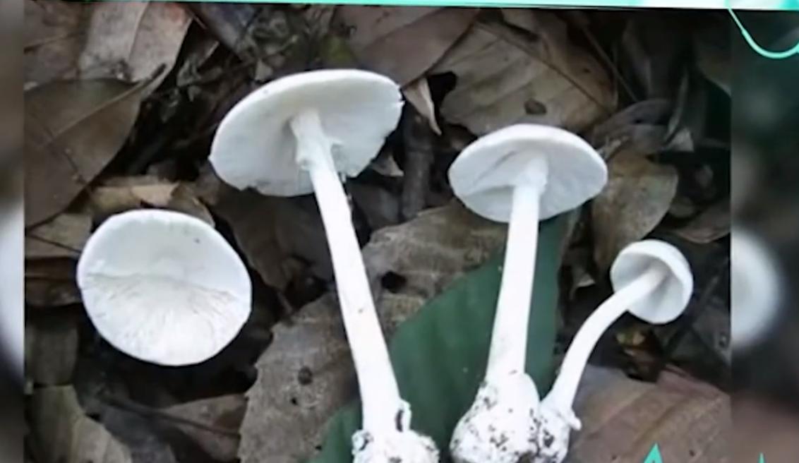 一顿饭吃掉32万天价账单,一顿饭吃掉40万元