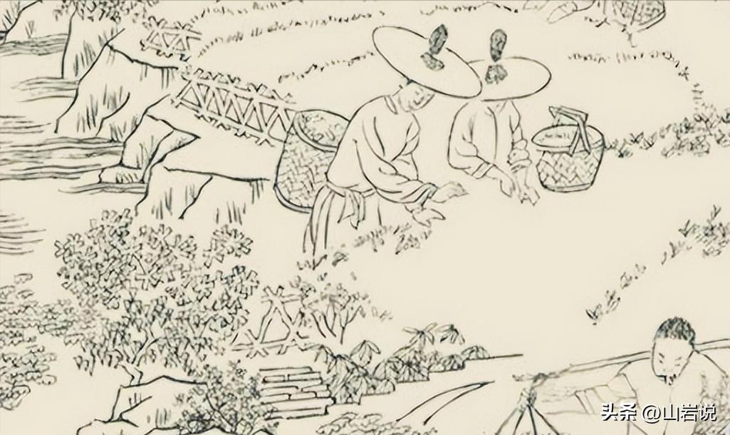 中国茶历史短片,中国茶历史宋朝