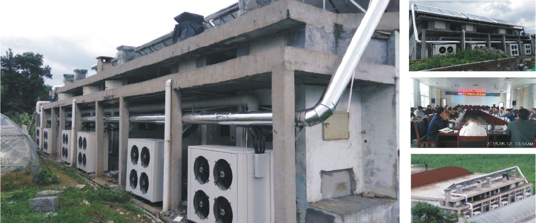 艾叶直接晒干的方法有哪些,艾叶烘干