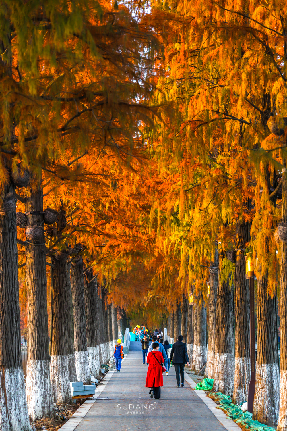大自然塑造了我,大自然塑造者