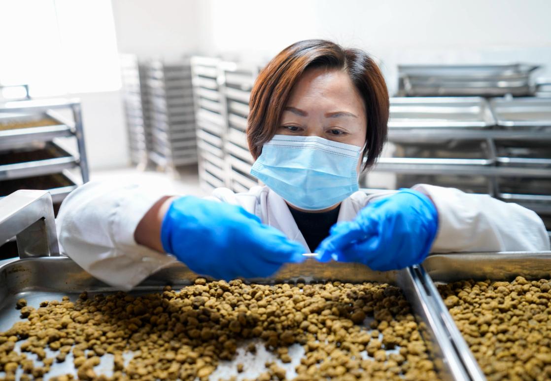 更年期脾虚的表现症状,脾肾虚和肾虚的区别