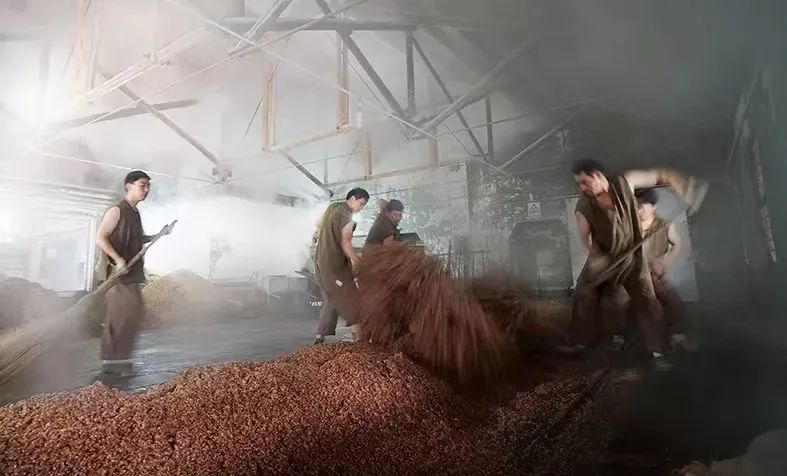 桃花春曲是什么意思,桃花春曲