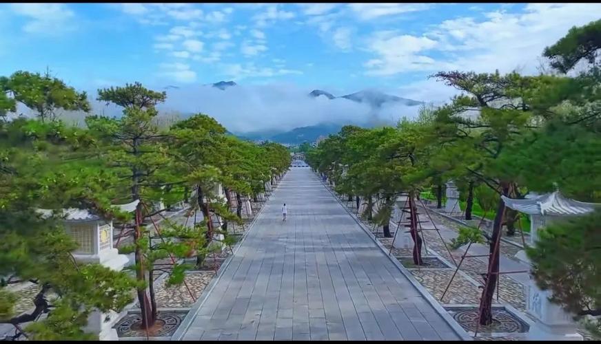 鎺㈢娉板北涔嬫梾,鎺㈢娉板北