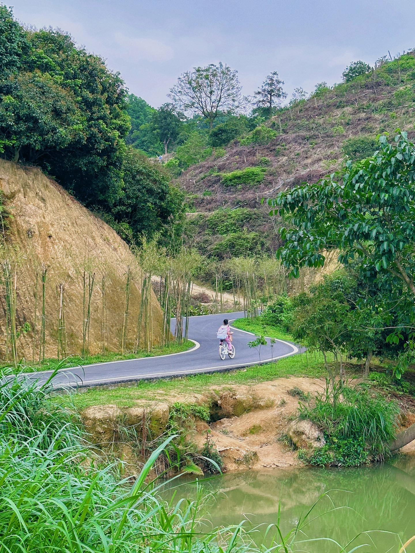 广州黄埔绿道游玩攻略,广州黄埔骑行绿道详细线路图
