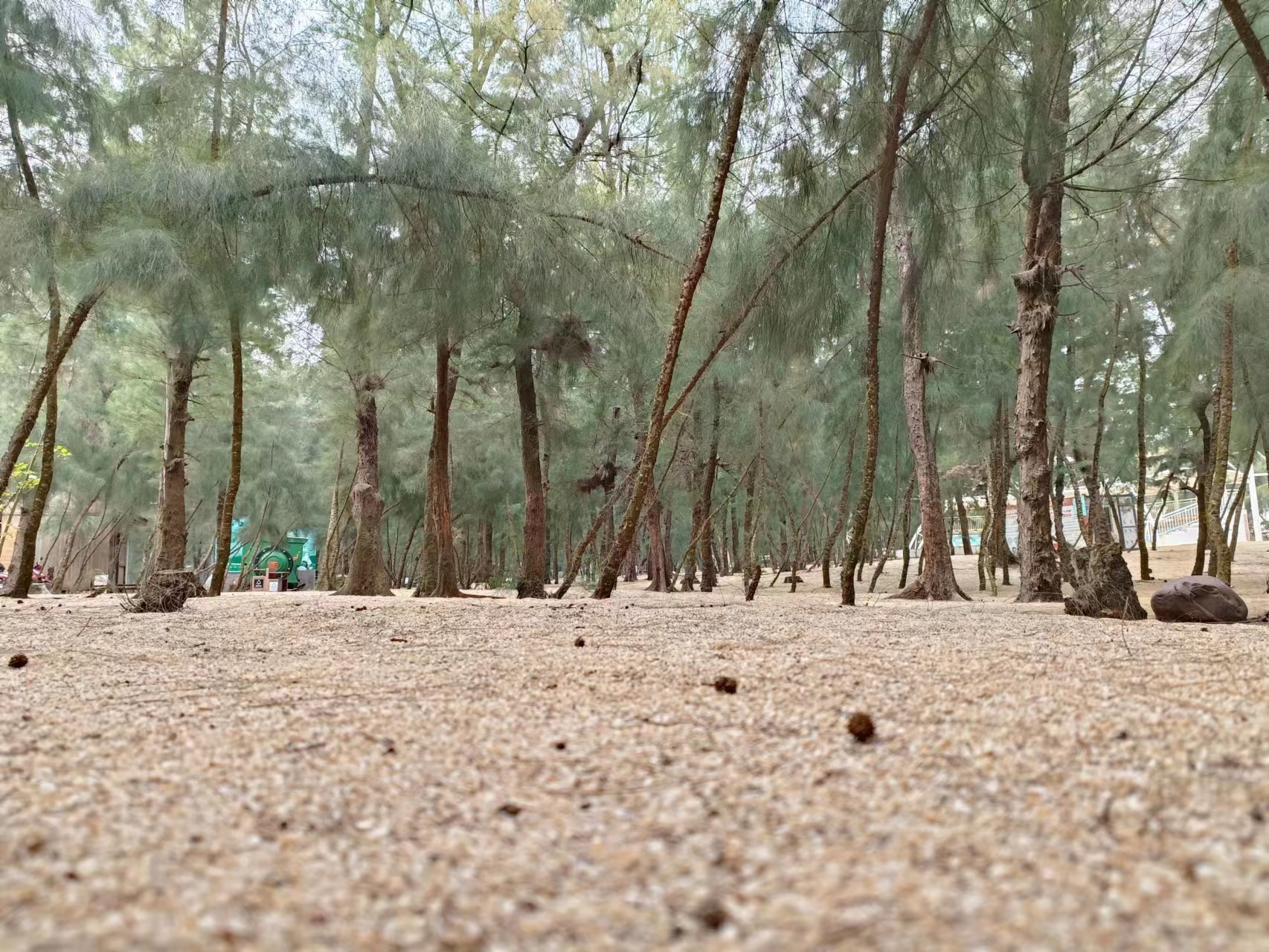 缤果预售价和实际价格,缤果有木有降价