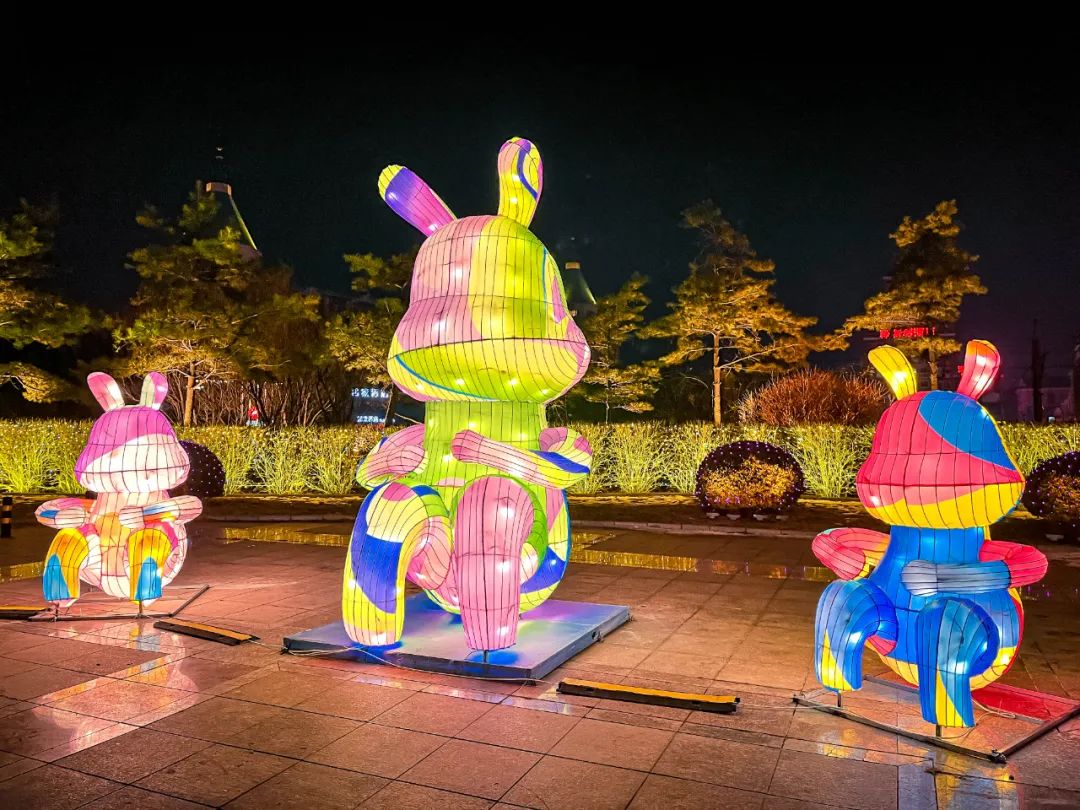 点“靓”夜晚！金普新春“气氛组”闪亮“灯”场！