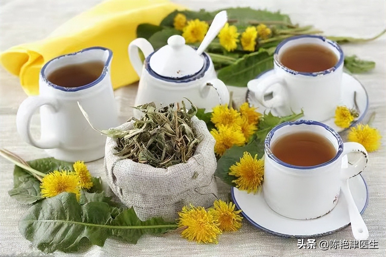 加拿大蒲公英治疗癌症,加拿大蒲公英根抗肿瘤