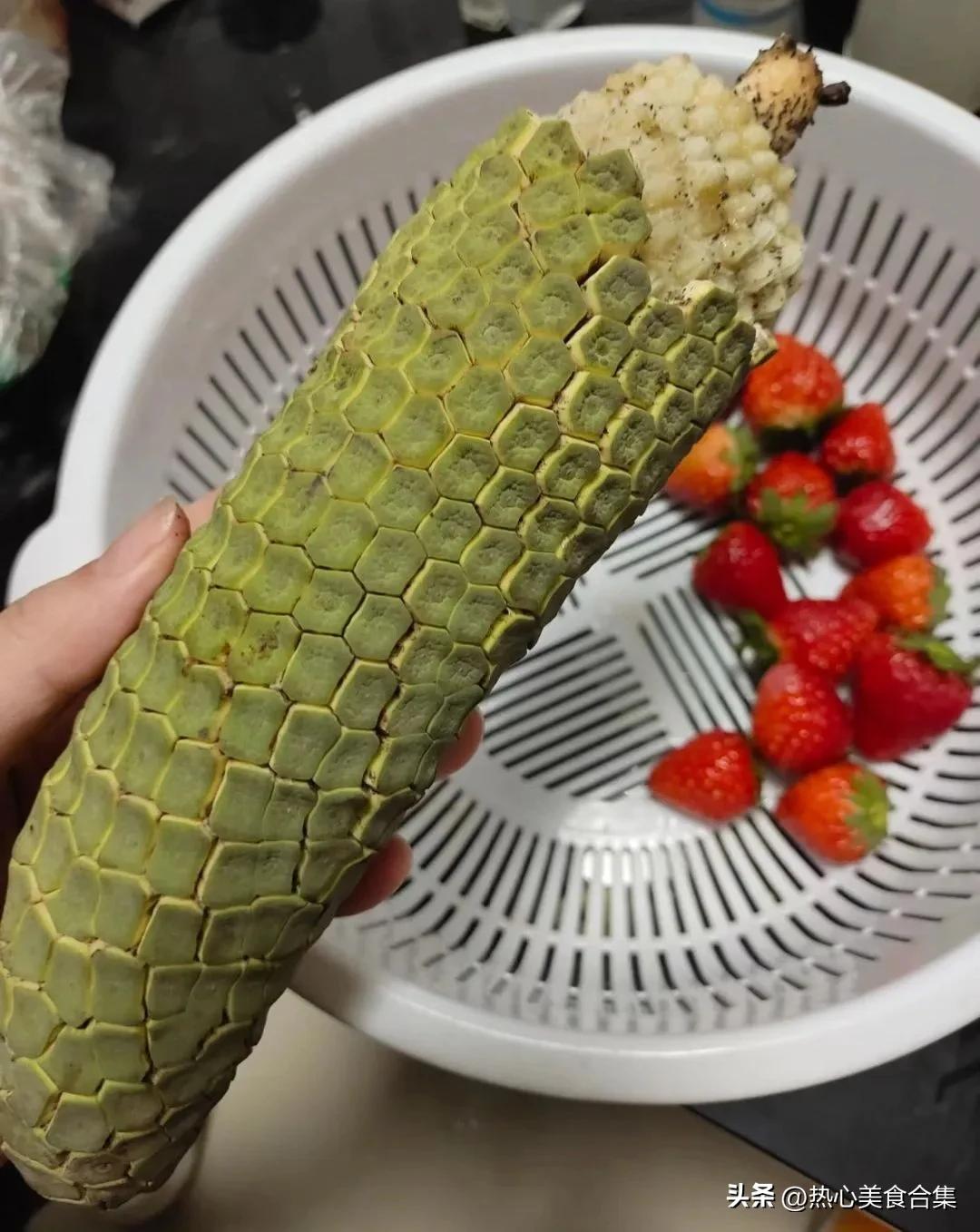 奇葩水果你见过但你肯定没吃过,奇葩水果图鉴你能认得出几种呢