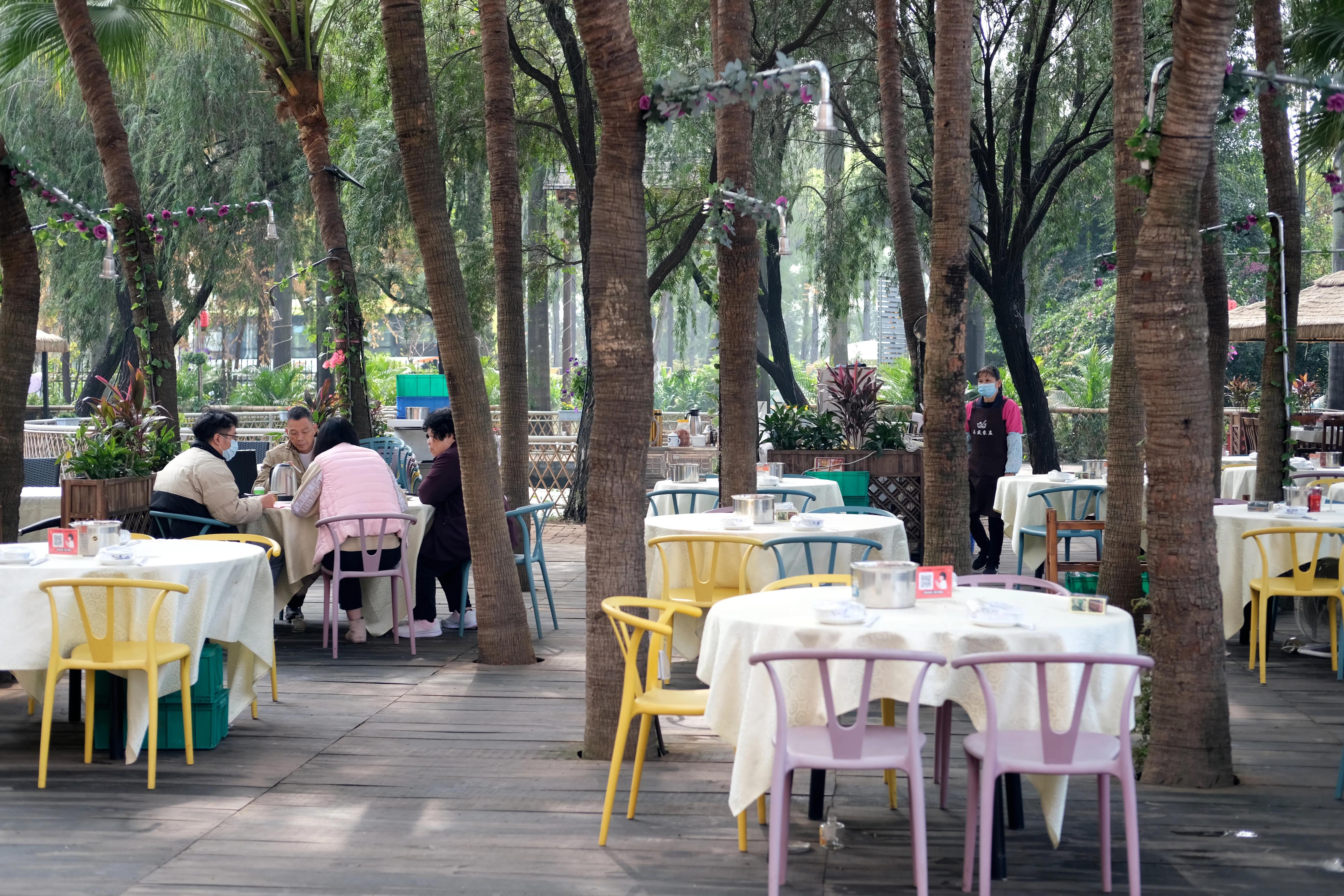 顺德杏坛农庄美食,世界美食之都顺德视频