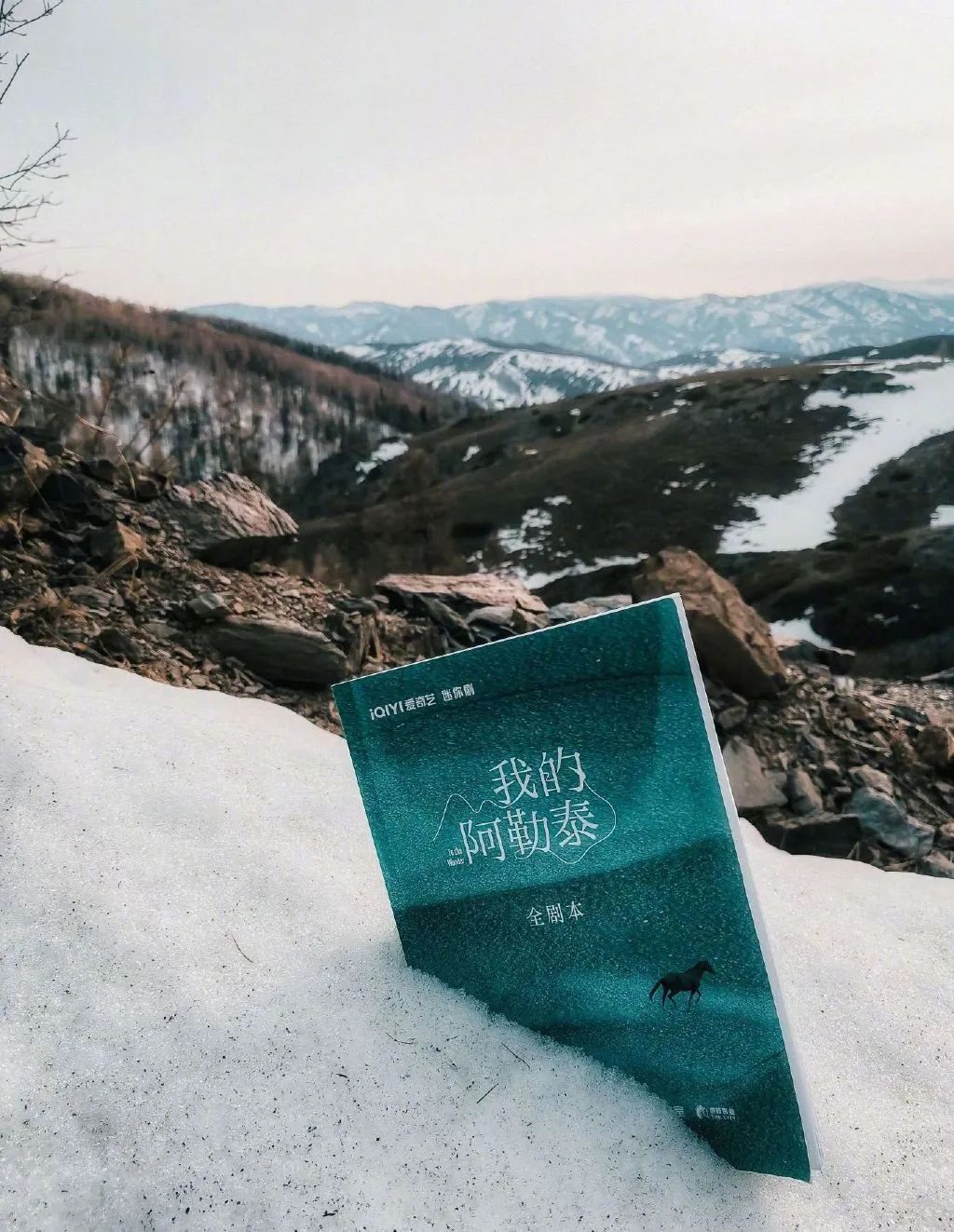 康洪雷、王伟两大导演另辟战场,7部农村田园剧乘时而起