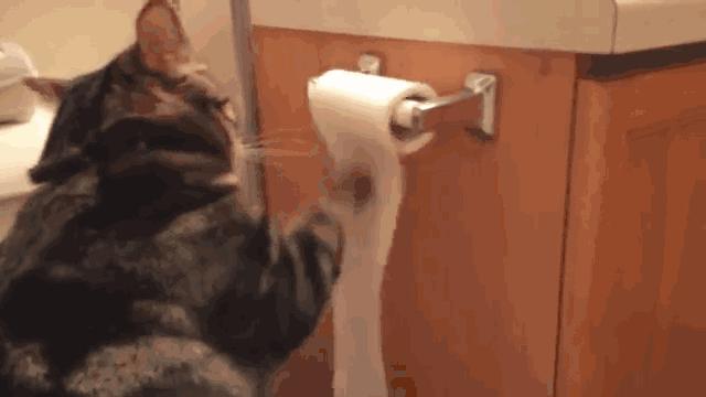 天一冷就尿频是肾气不固吗,为什么天一冷就会频繁夜尿