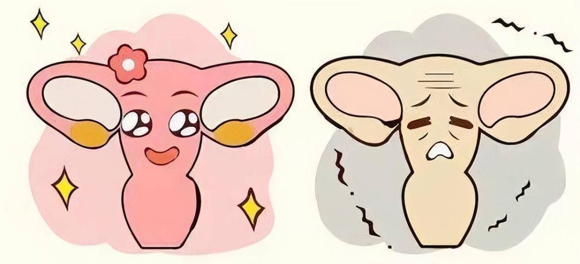 姨妈前后外阴有点疼是怎么回事,女士下身隐隐疼怎么回事