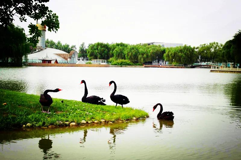 海淀公园相亲小程序,海淀公园相亲角