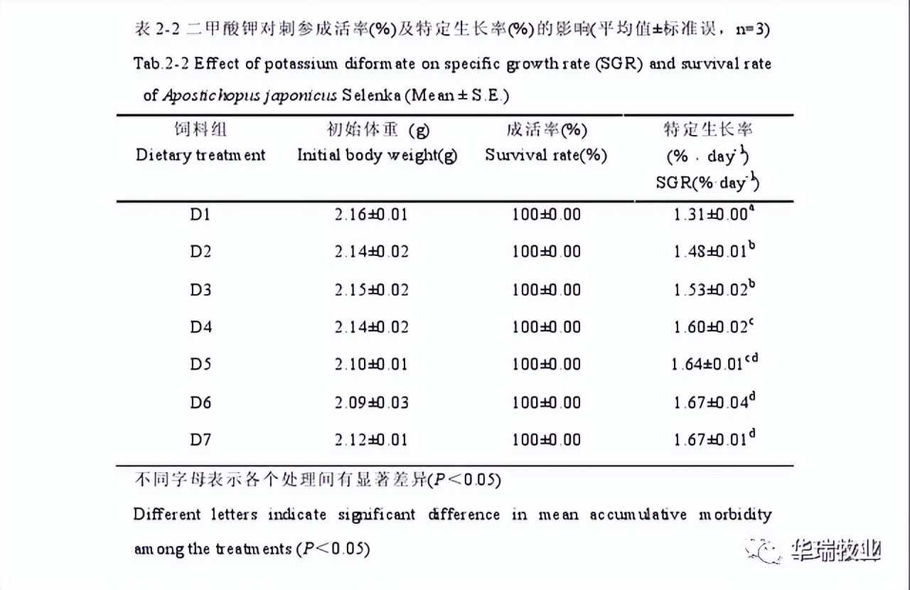 刺参感染灿烂弧菌导致烂皮，规模化养殖场一年损失近百万