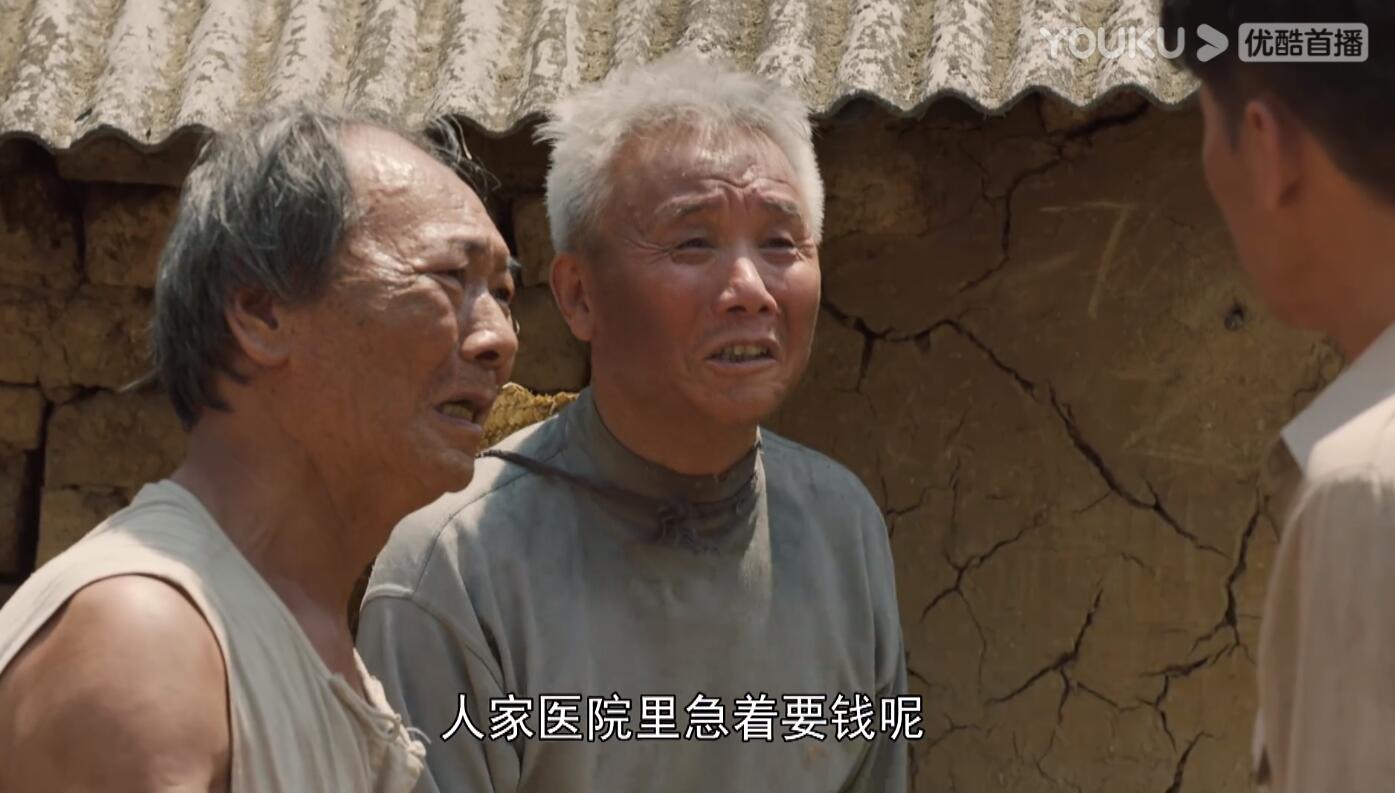 山河锦绣演员演技好,山河锦绣演员表现