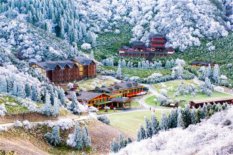 重庆消费券团购,消费券重庆