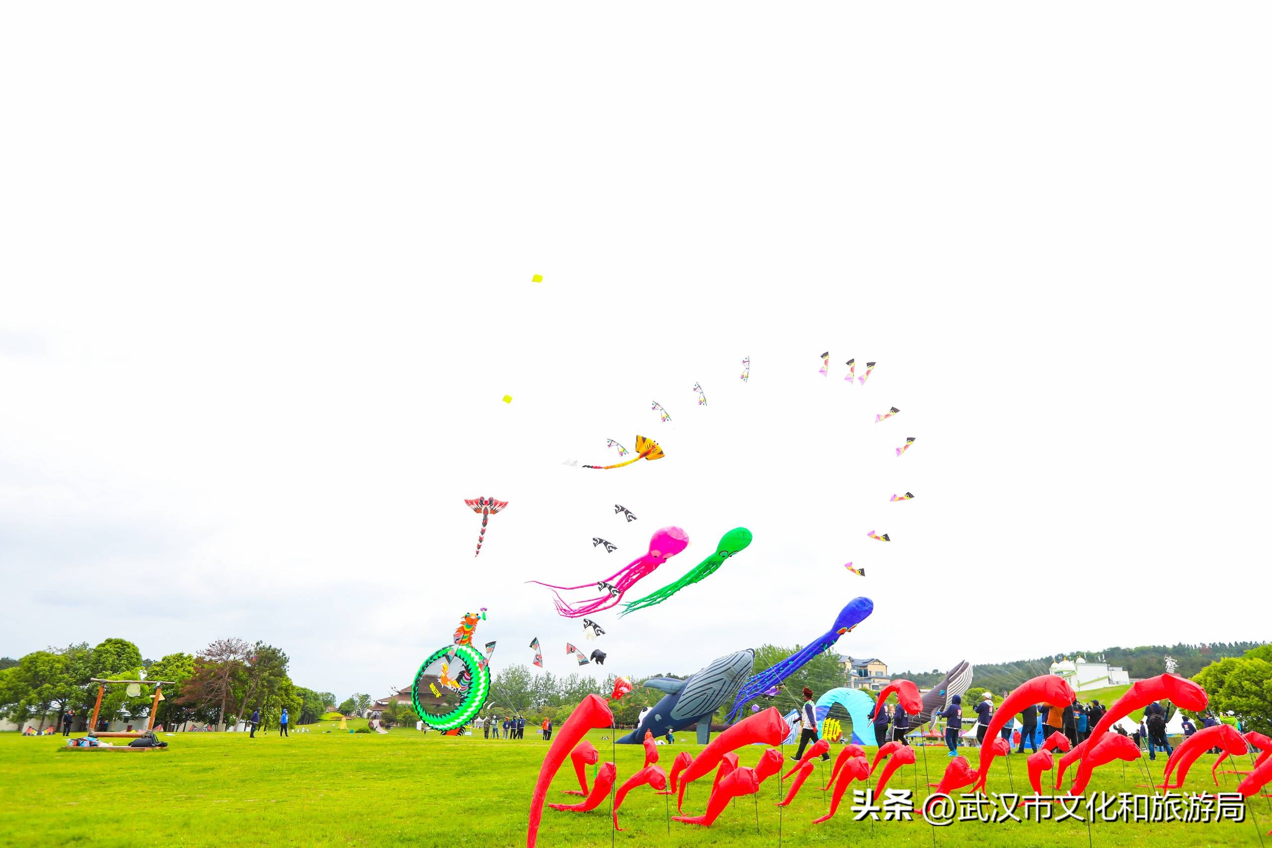 2023木兰草原国际风筝节,2022年木兰草原风筝比赛