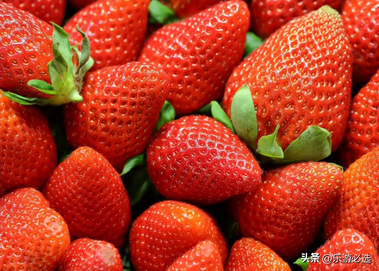 英语夏令营蒙古,德国英语夏令营