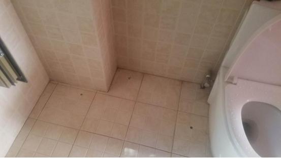 天津卫生间漏水维修找哪家,天津卫生间漏水怎么办
