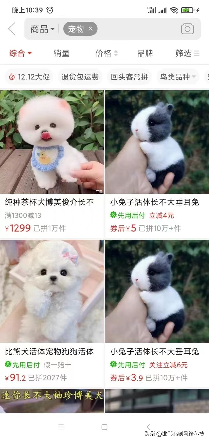 没有买卖就没有伤害的动物,没有买卖就没有伤害皮草公益广告