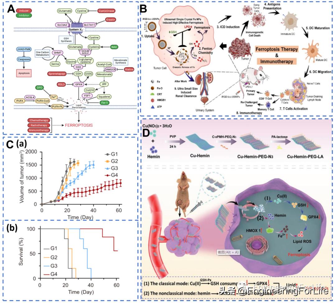 纳米材料抗肿瘤药物怎么用,新型纳米材料治疗肿瘤