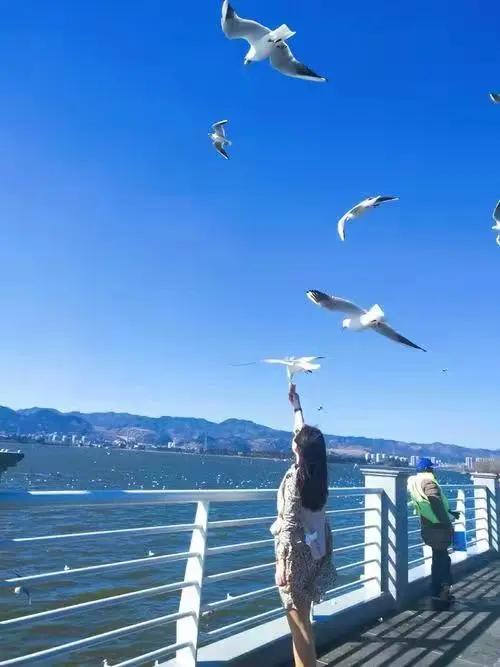 春节旅游最佳去处云南旅游攻略,春节云南旅游必去的景点推荐