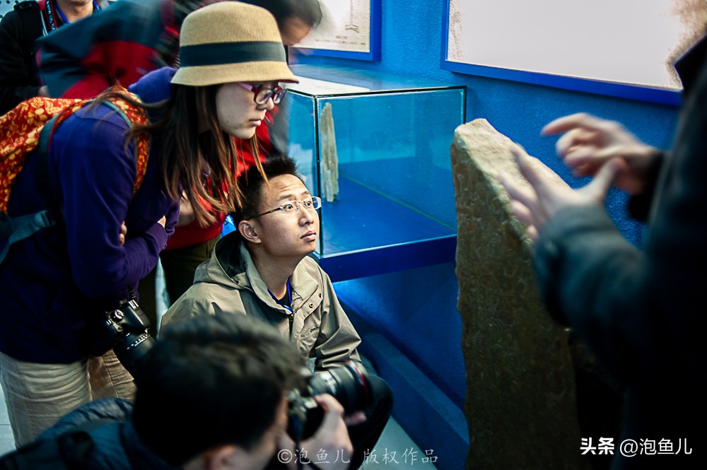 湖北大山发现30万枚恐龙蛋！村民竟拿去垒猪圈，这也太魔幻了吧