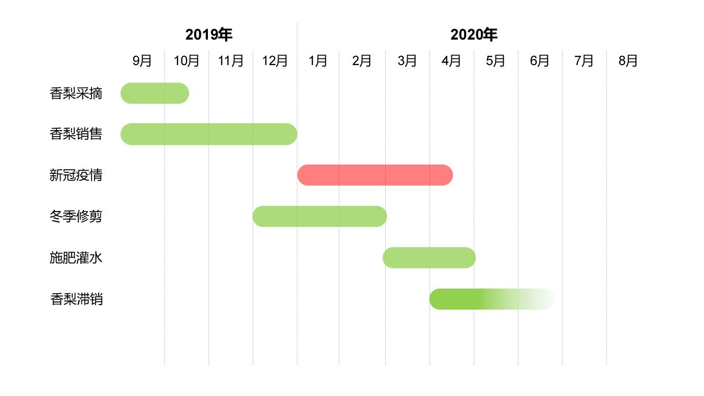 库尔勒香梨直播卖货,库尔勒香梨经销商