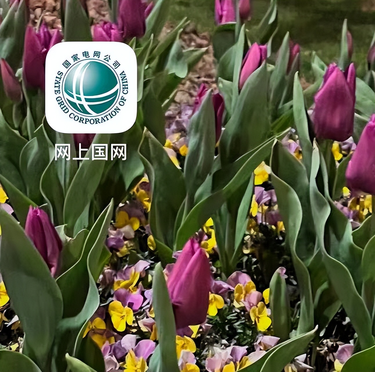 问界m5家用充电桩演示,问界m5家用充电桩充满需要多久