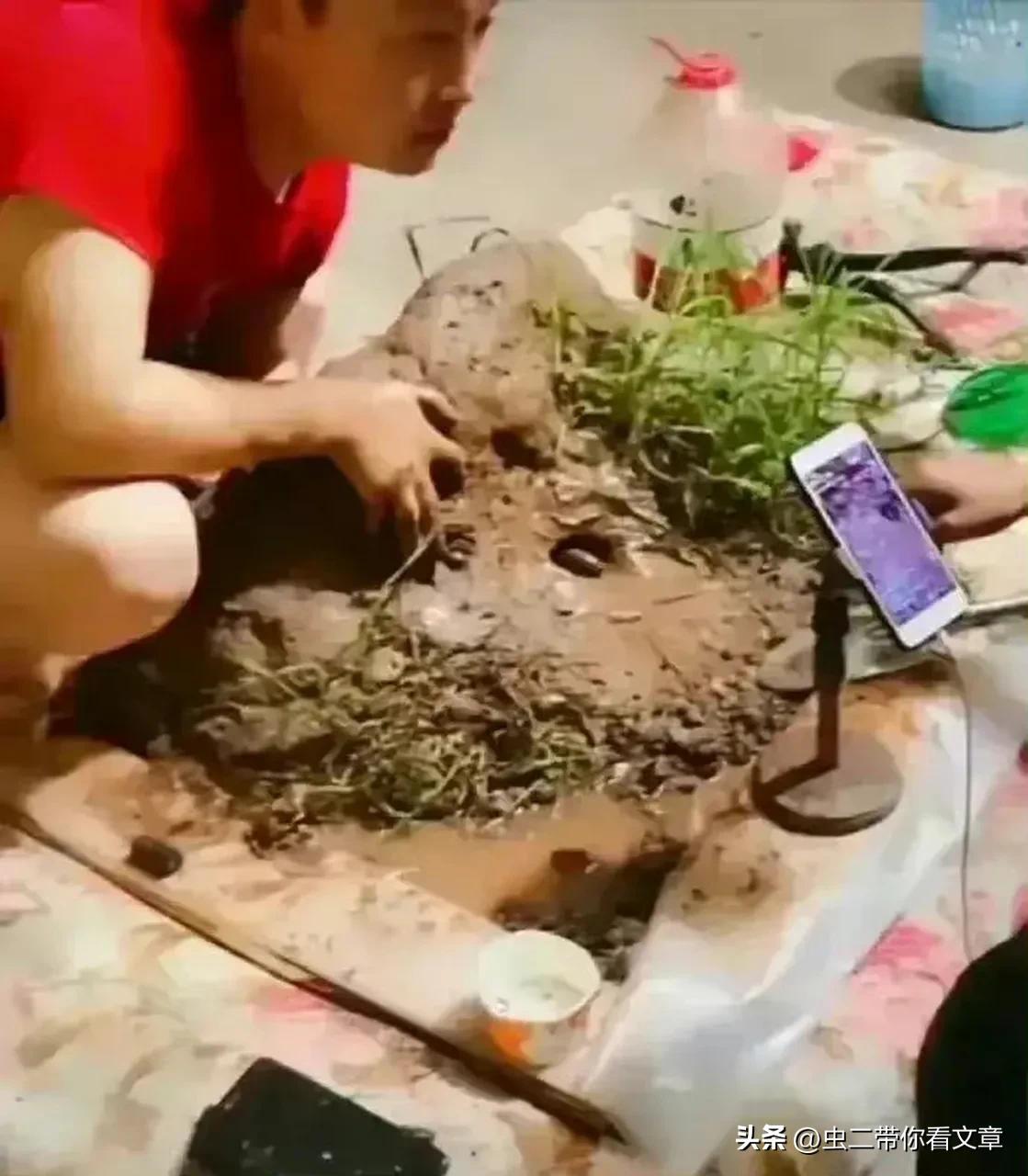 农村专业抓黄鳝也能致富,在农村逮鱼黄鳝真的能赚钱