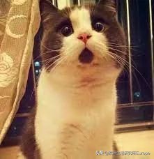 密室逃脱最恐怖的十个地方,各种各样的恐怖密室逃脱